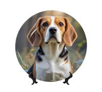 PAQOLSMCKR Assiette décorative en porcelaine anglaise - Assiettes à dîner en céramique - Motif chien beagle mignon - Assiettes décoratives en céramique - Ornement artistique - Assiette en porcelaine