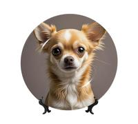 PAQOLSMCKR Assiette décorative en porcelaine anglaise - Assiettes à dîner en céramique pour chihuahua mignon - Assiettes décoratives en céramique - Ornement artistique - Assiette en porcelaine pour