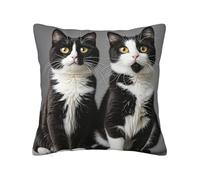 PAQOLSMCKR Housses de coussin carrées décoratives en peluche pour salon, motif chats noirs et blancs - 40,6 x 40,6 cm