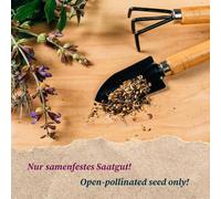 Pâquerette Bleue (Brachyscome Iberidifolia) Env. 500 Graines De Fleur Annuelle Pour Balcon Fleur Permanente Plante En Bac Fleur D'été