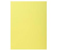 Paquet 100 chemises nature future "jura 160" 1 rabat assorti