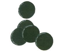 Paquet de 10 verres de rechange ronds D 50 mm teinte n° 5 SAF-FRO W000335085