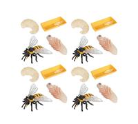 Paquet de 12 Figurines D'Insectes Cycle de Vie de L'Abeille à Miel Figurines D'Insectes Réalistes Jouets ÉDucatif Science Modèle Jouet