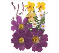 Paquet de 18 Ensemble d ' Artisanat de Fleurs pressées Naturelles pour Les décorations de Maisons et Les Arrangements de Mariage avec des matériaux végétaux séchés Ensemble de Fleurs sèches