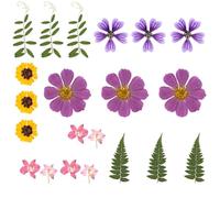 Paquet de 18 Ensemble d ' Artisanat de Fleurs pressées Naturelles pour Les décorations de Maisons et Les Arrangements de Mariage avec des matériaux végétaux séchés Ensemble de Fleurs sèches