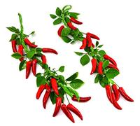 Paquet de 2 Piment Chaîne Artificiel Plante en plastique artificielle Fleurs pour la décoration intérieure Plantes en plastique Fleurs Piment Chili poivrons corde