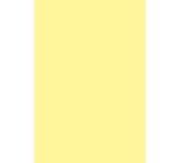Paquet De 20 Enveloppes Pollen 110x220mm Dl Jaune Canari 120g