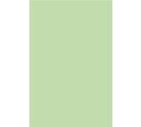 Clairefontaine 5475C - Paquet de 20 Enveloppes Auto-Adhésives - Format DL 11x22cm - 120g/m² - Coloris Vert - Invitation Evènements et Correspondance - Gamme Pollen - Papier Premium Lisse