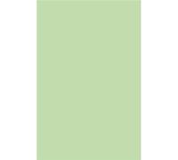 Paquet de 20 enveloppes Pollen 114x162mm C6 Vert 120g