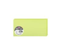 Paquet de 25 cartes pliées Pollen 106x213mm 210g/m² - Vert bourgeon