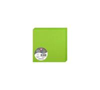 Paquet de 25 cartes pliées Pollen 135x135mm 210g/m² - Vert menthe