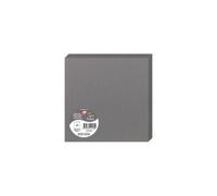 Paquet de 25 cartes pliées Pollen 160x160mm 210g/m2 - Acier