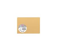 Paquet de 25 cartes simples Pollen 110x155mm 210g/m2 - Caramel