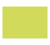 Paquet de 25 cartes simples Pollen 110x155mm 210g/m2 - Vert bourgeon