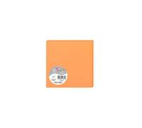 Paquet de 25 cartes simples Pollen 135x135mm 210g/m² - Clémentine
