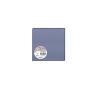 Paquet de 25 cartes simples Pollen 135x135mm 210g/m² - Myosotis