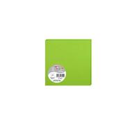Paquet de 25 cartes simples Pollen 135x135mm 210g/m² - Vert menthe
