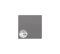 Paquet de 25 cartes simples Pollen 160x160mm 210g/m2 - Acier