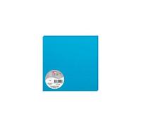 Paquet de 25 cartes simples Pollen 160x160mm 210g/m2 - Bleu turquoise