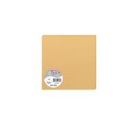 Paquet de 25 cartes simples Pollen 160x160mm 210g/m2 - Caramel