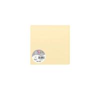 Paquet de 25 cartes simples Pollen 160x160mm 210g/m2 - Chamois