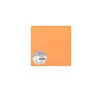 Paquet de 25 cartes simples Pollen 160x160mm 210g/m2 - Clémentine