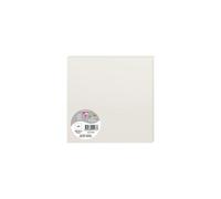 Paquet de 25 cartes simples Pollen 160x160mm 210g/m2 - Gris perle