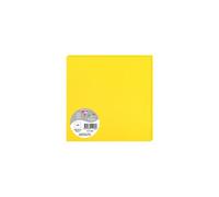 Paquet de 25 cartes simples Pollen 160x160mm 210g/m2 - Soleil
