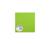 Paquet de 25 cartes simples Pollen 160x160mm 210g/m2 - Vert menthe