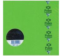 Clairefontaine Cartes simples 1121C – Paquet de 25 – Carré 16x16 cm 210 g/m² Vert menthe