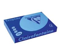 Paquet de 25 cartes simples Pollen 82x128mm 210g/m2 - Vert bourgeon