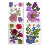 Paquet De 4 Fleurs Pressées Naturelles 32 Pièces Vraies Séchées pour L'artisanat Bijoux Faits À La Main Et Les Projets Artistiques Bricolage Pressées