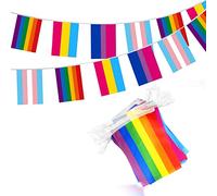 Paquet de 40 bannières Gay Pride, drapeaux de fierté imprimés colorés, bannières transgenres asexuées bisexuelles pan lesbiennes, décorations de fête de fierté 14*21cm (10 pièces de 4 motifs chacun)