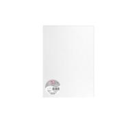 Paquet de 5 feuilles Pollen 210x297mm 120g/m2 - Blanc irisé