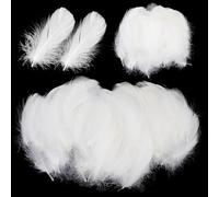 Paquet De 600 Plumes Blanches Artisanales, Plumes Pour Travaux Manuels | Plumes décoratives pour mariages et projets de loisirs créatifs, costumes, sacs, décorations d'attrape-rêves