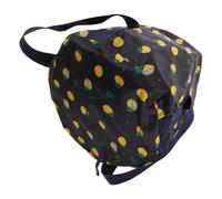 Paquet de Bain de Pieds Pliable Noir, Bassine Compacte Oxford Peva