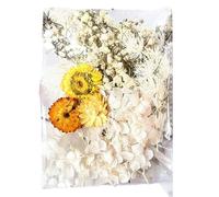 Paquets de Fleurs sèches, Fournitures d'artisanat à Talons secs-Vous dans Un Monde de créativité avec l'ensemble de matériaux d'artisanat à Talons secs, Qui Contient Un mélange de Textures et d
