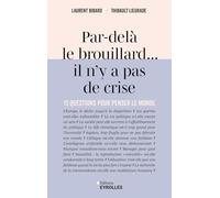Par-delà le brouillard... il n'y a pas de crise: 13 questions pour penser le monde