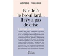 Par-delà le brouillard... il n'y a pas de crise 13 questions pour penser le monde - Laurent Bibard - Eyrolles - broché - Essai