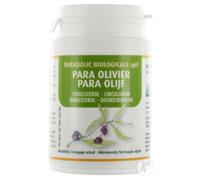 PARA Olive Capsule(S) 90 pc(s)