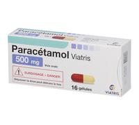 Paracétamol Mylan 500 mg Capsule(S) 16 pc(s)
