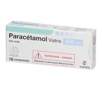 Paracétamol Mylan 500 mg Comprimé(S) 16 pc(s)