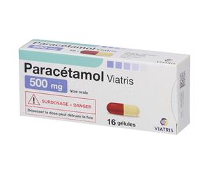 PARACETAMOL VIATRIS 500MGGELULE Capsule(S) 16 pc(s)