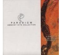 Paradigm - Paradigm Ambient Hits Collection - A Tribute to the Hits of Amy Grant