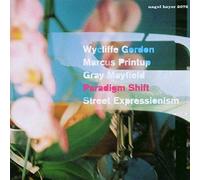 Paradigm Shift - Street Expressionism [Import]