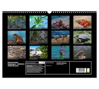 Paradis naturel des Galapagos - Patrimoine mondial de l'UNESCO (Calendrier mural 2026 DIN A3 horizontal), CALVENDO calendrier mensuel