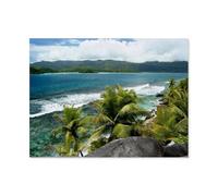 Paradis naturel des Seychelles,Peinture par Numéros Adultes et Enfants Débutants Peintures avec Cadre Comprend des Pinceaux et des Peintures Acryliques(50x60cm)19.6x23.6 pouces-AS34