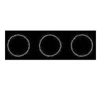 Swedish House Mafia - Paradise Again