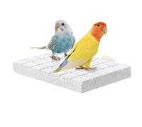 Parakeet Beak Grinding Stone Volcanic Rock Finches Chewing