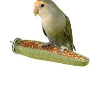 Parakeet Bird Toy, Standing Treat Perch, 8x3 inches Enrichment Stick with Strong Wood, Comfortable Cage Accessory with Playful Design, Fun Training Tool for Parrots & Small Birds
